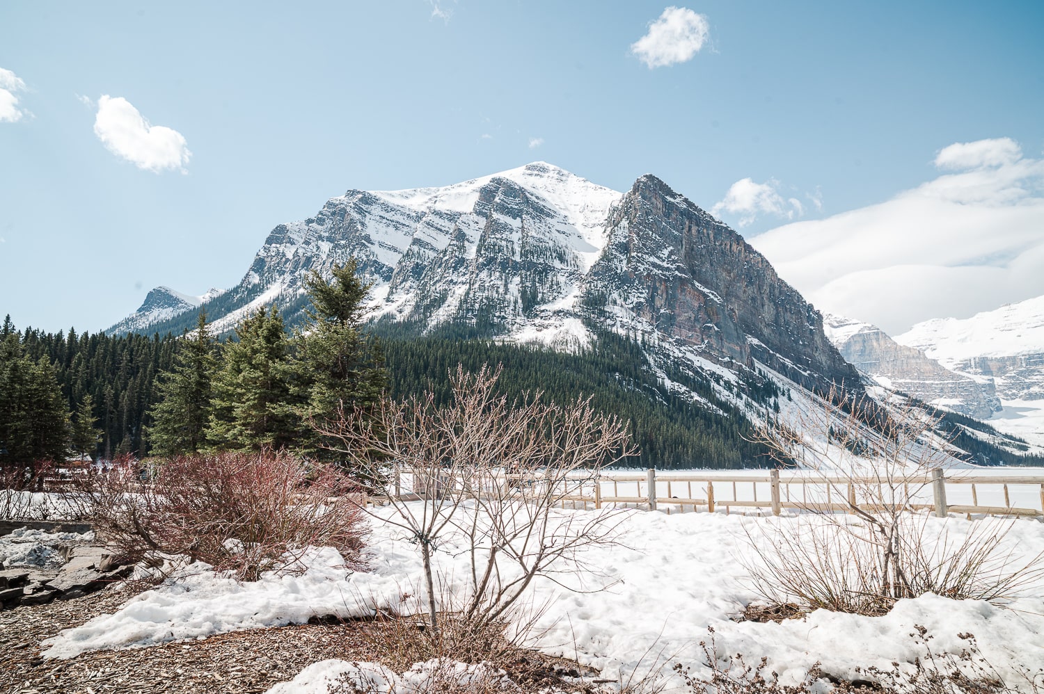 business photoshoot - atlanta