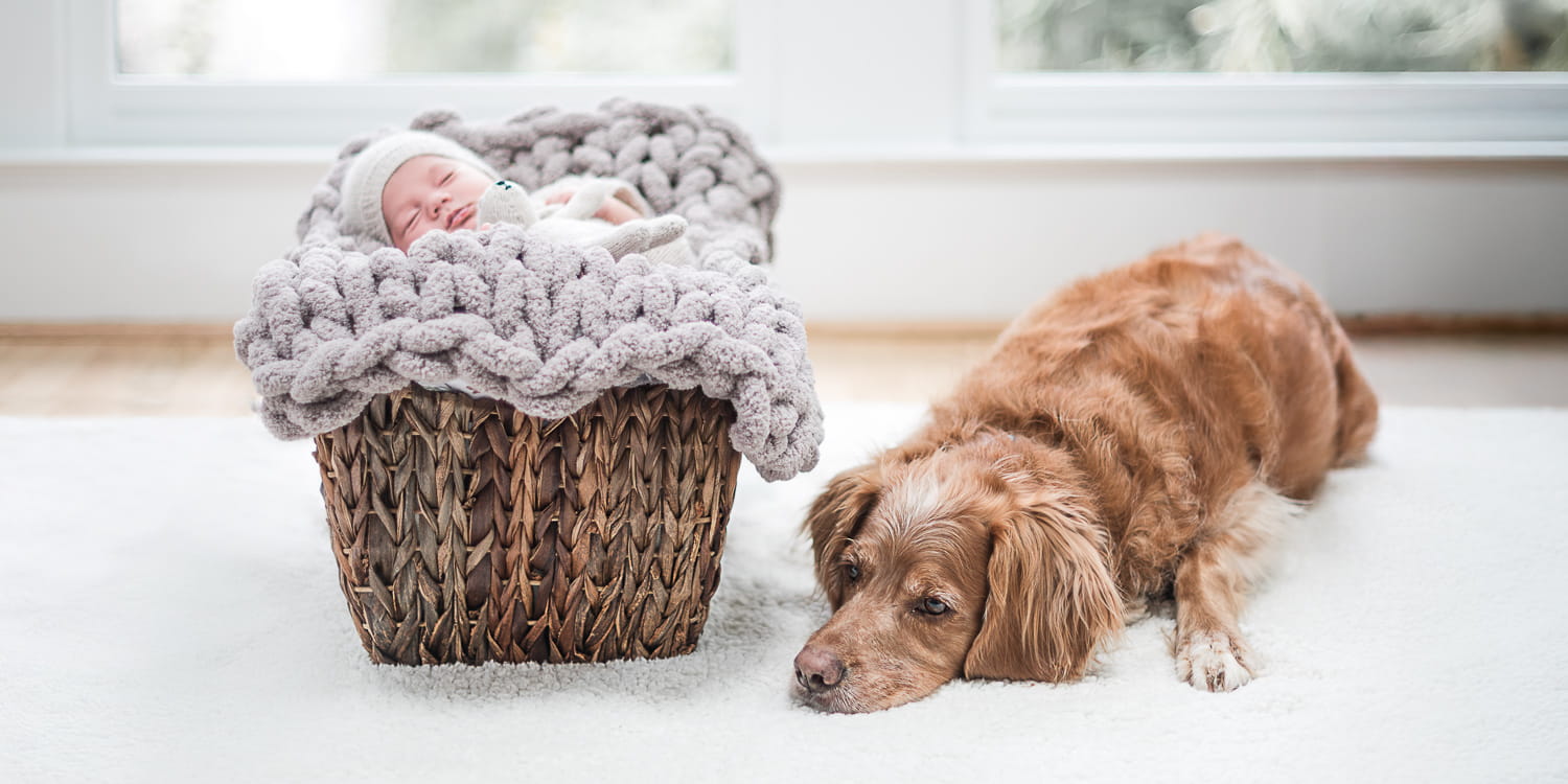 business photoshoot - atlanta