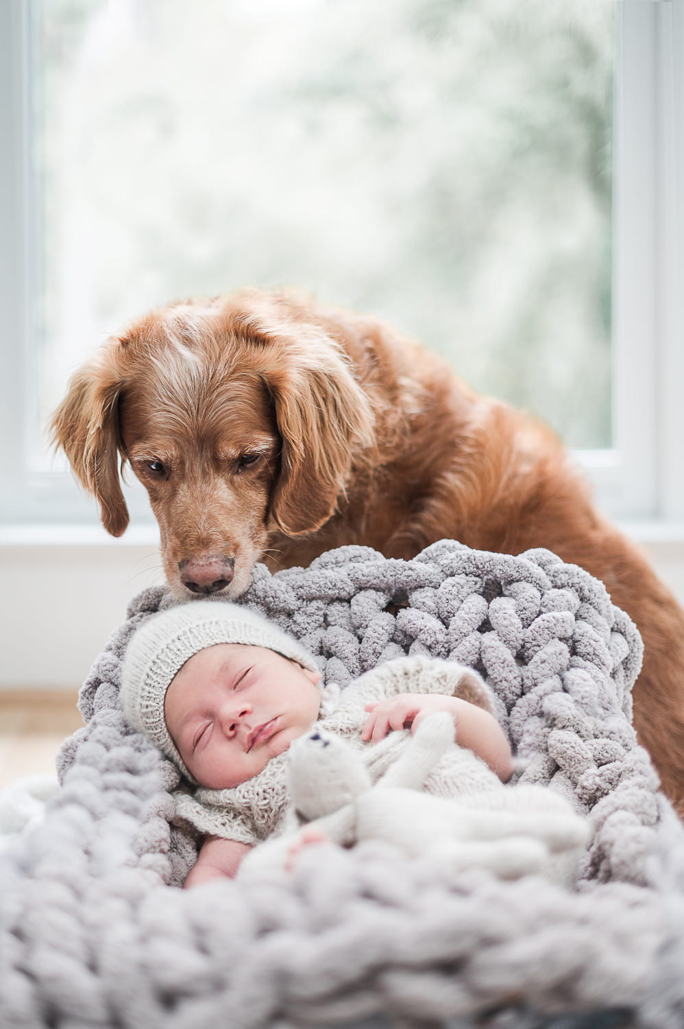 business photoshoot - atlanta